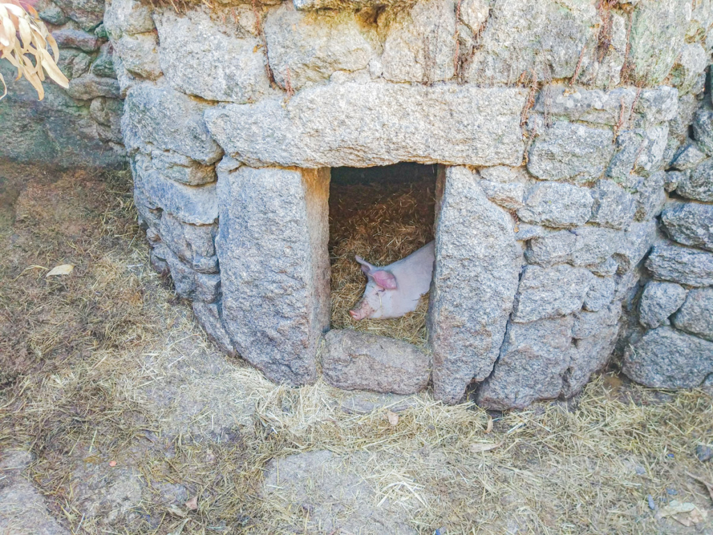 Pigsties or Furdas in the village of Monsanto