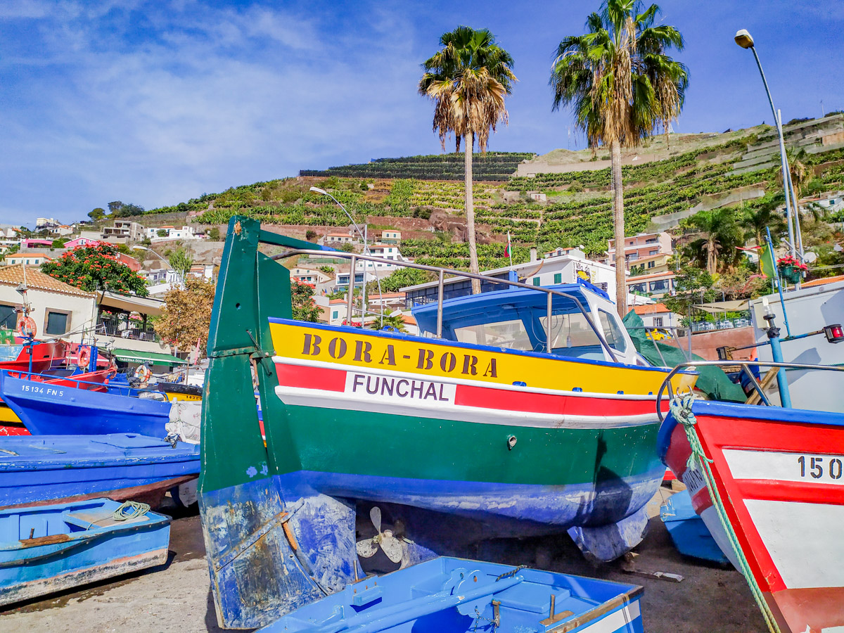 O que visitar na ilha da Madeira - Barcos de câmara de lobos