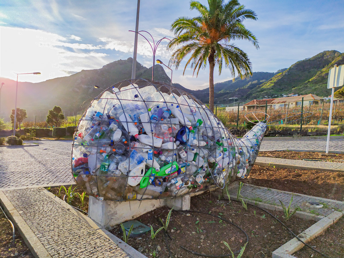 Museu da baleia no caniçal - O que visitar na Ilha da Madeira