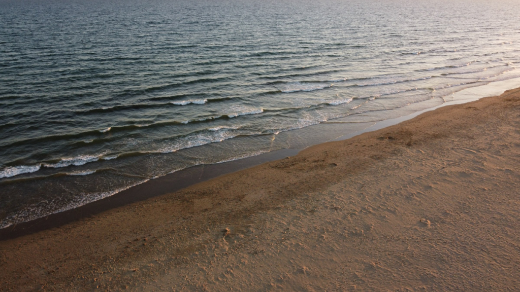 Praia da Ponta da Areia