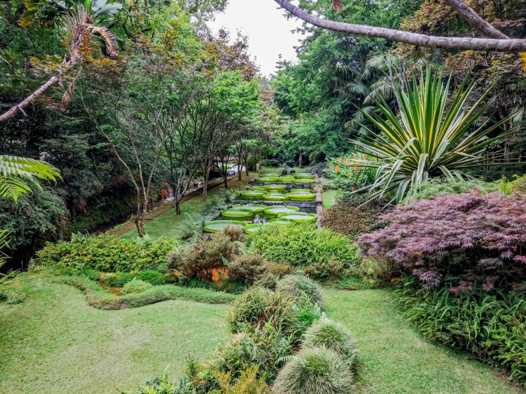 Jardins do Parque Terra Nostra, nas furnas