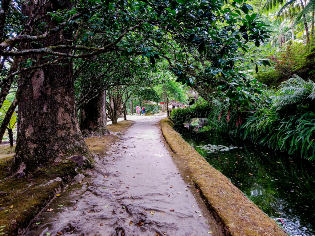 Trilhos do Parque Terra Nostra