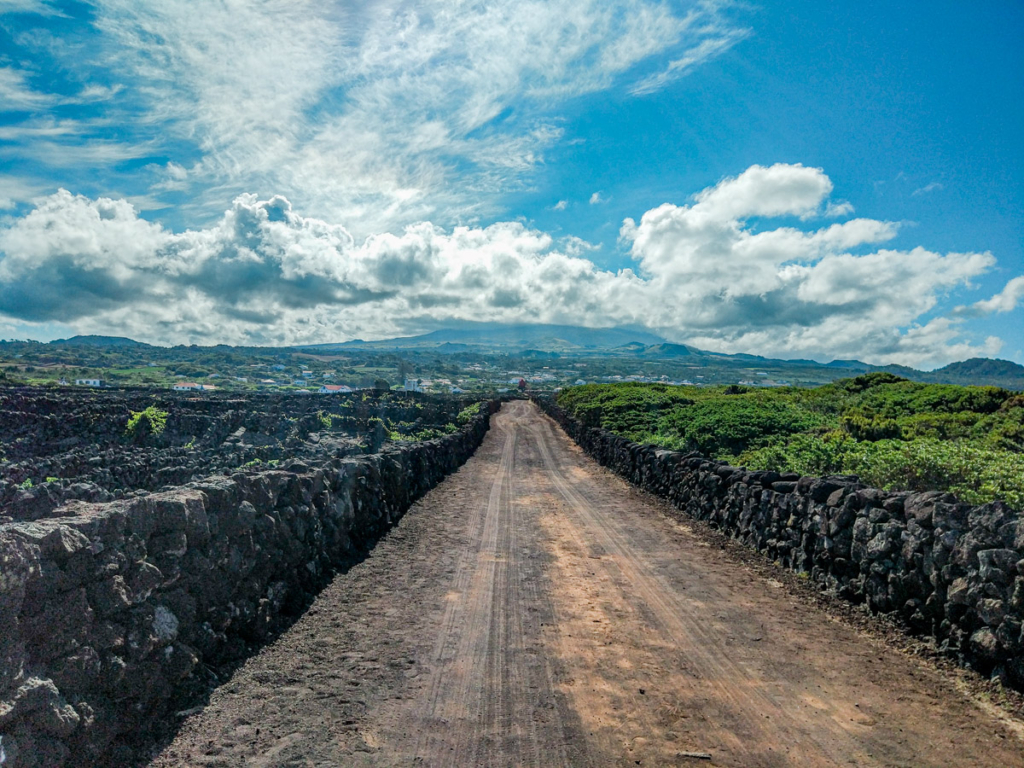 Paisagem da Cultura da Vinha da Ilha do Pico