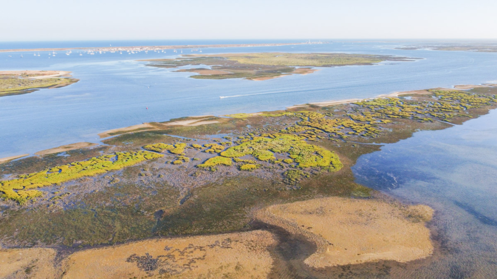 Parque Natural da Ria Formosa