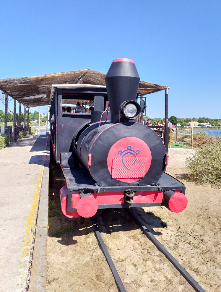 Comboio da Praia do Barril | O que fazer em Tavira