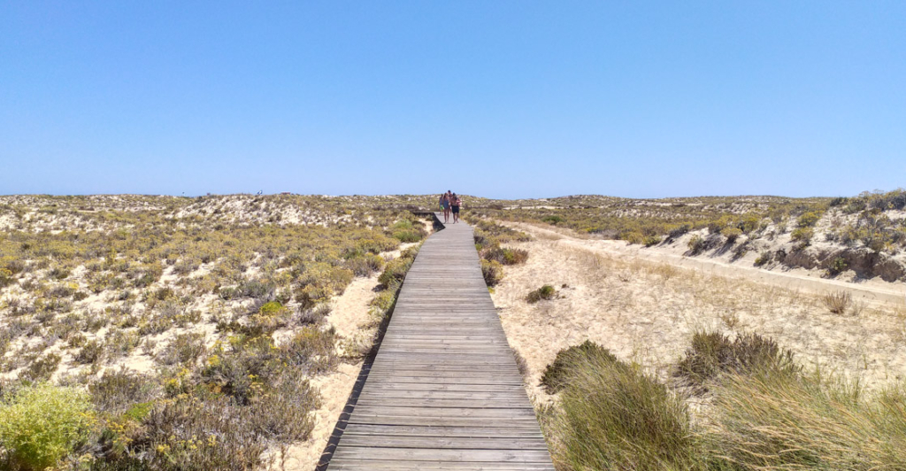 Trilho para a praia da Culatra | Ilhas do Algarve