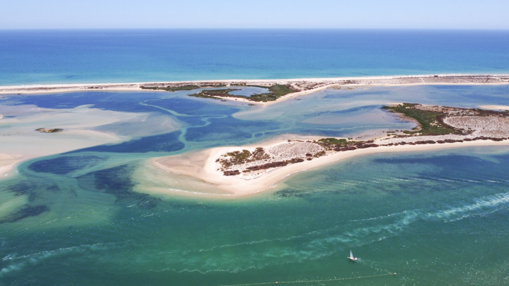 Visit Ria Formosa in Fuseta | Things to do in Olhão