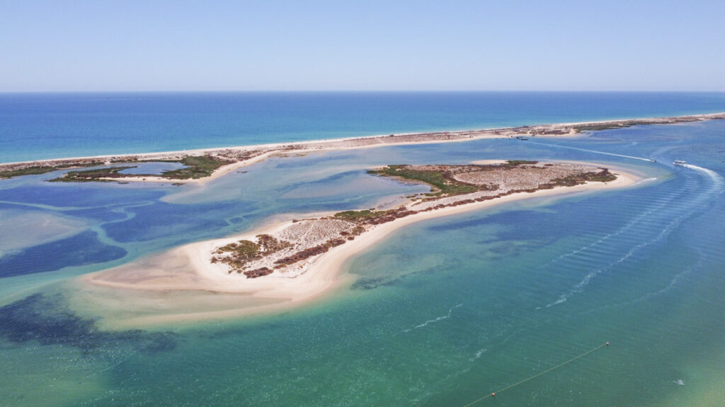 Visit Ria Formosa | Things to do in Olhão