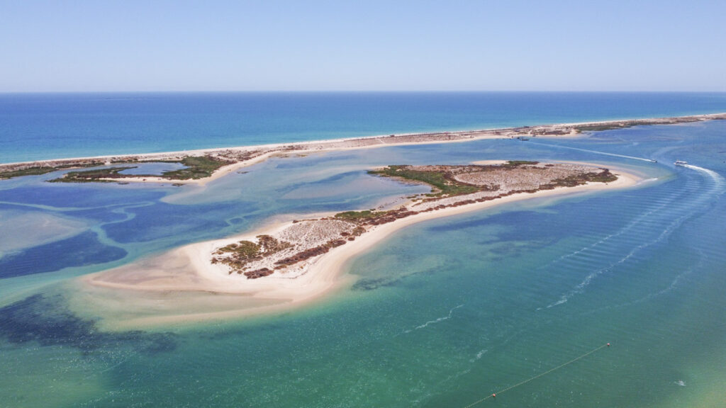 Parque natural da Ria Formosa junto à Fuseta