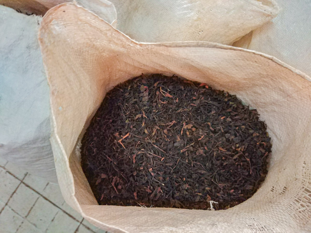 Saco de Chá a ser processado na fábrica de Chá Gorreana