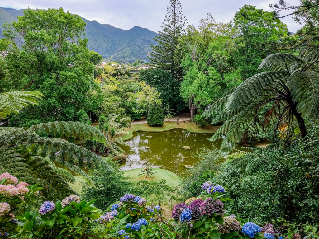 Vegetação do Parque Terra Nostra