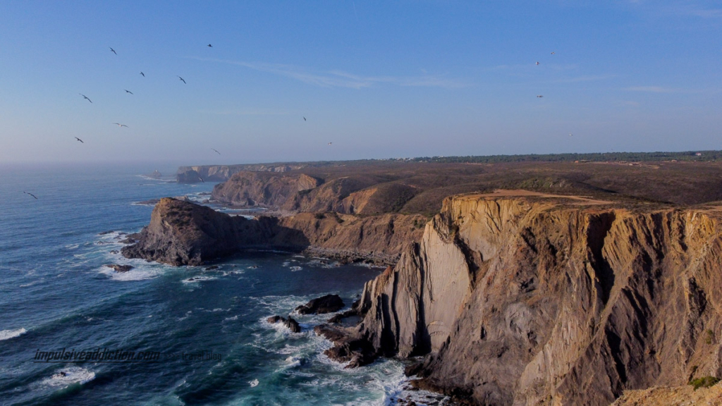 Inúmeras gaivotas sobrevoavam a costa norte da arrifana quando a fotografei a partir do miradouro das ruínas da fortaleza da Arrifana. Esta imagem mostra isso mesmo.