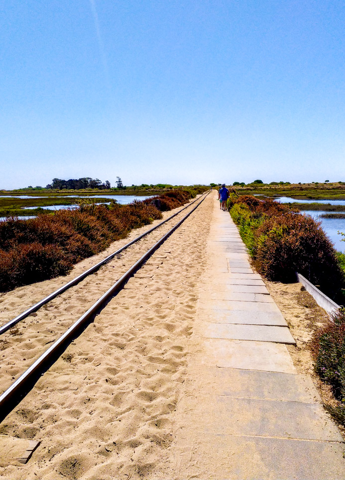 Trilho da Praia do Barril | O que fazer em Tavira