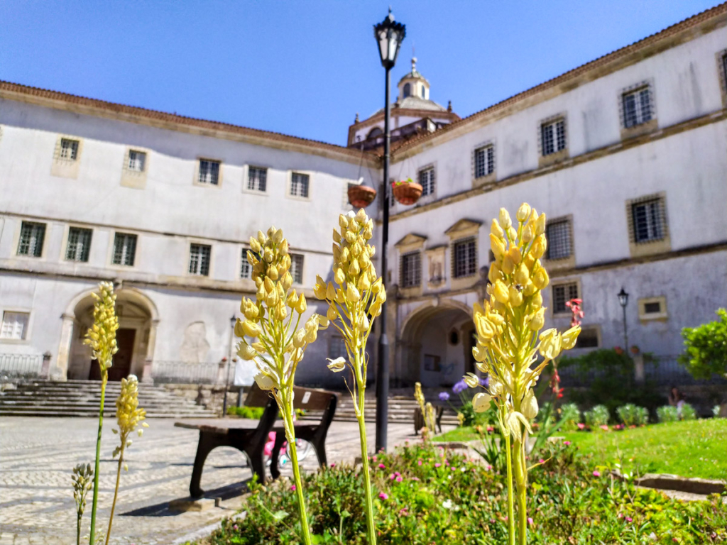 mosteiro de lorvão, fachada principal