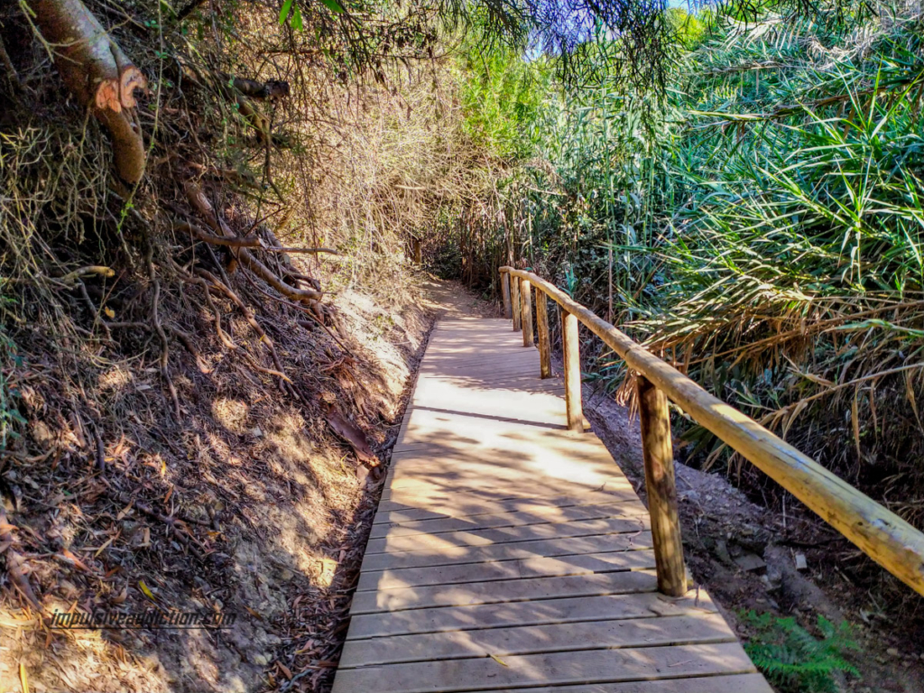 Trail to Amália beach