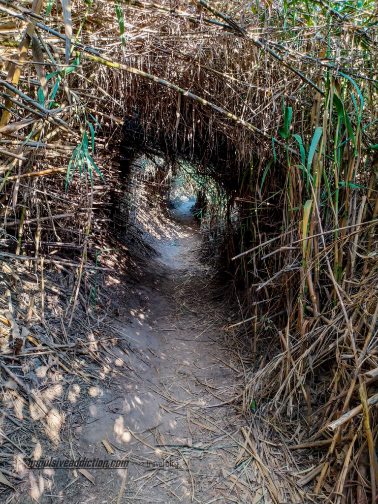 Trail to Amália beach