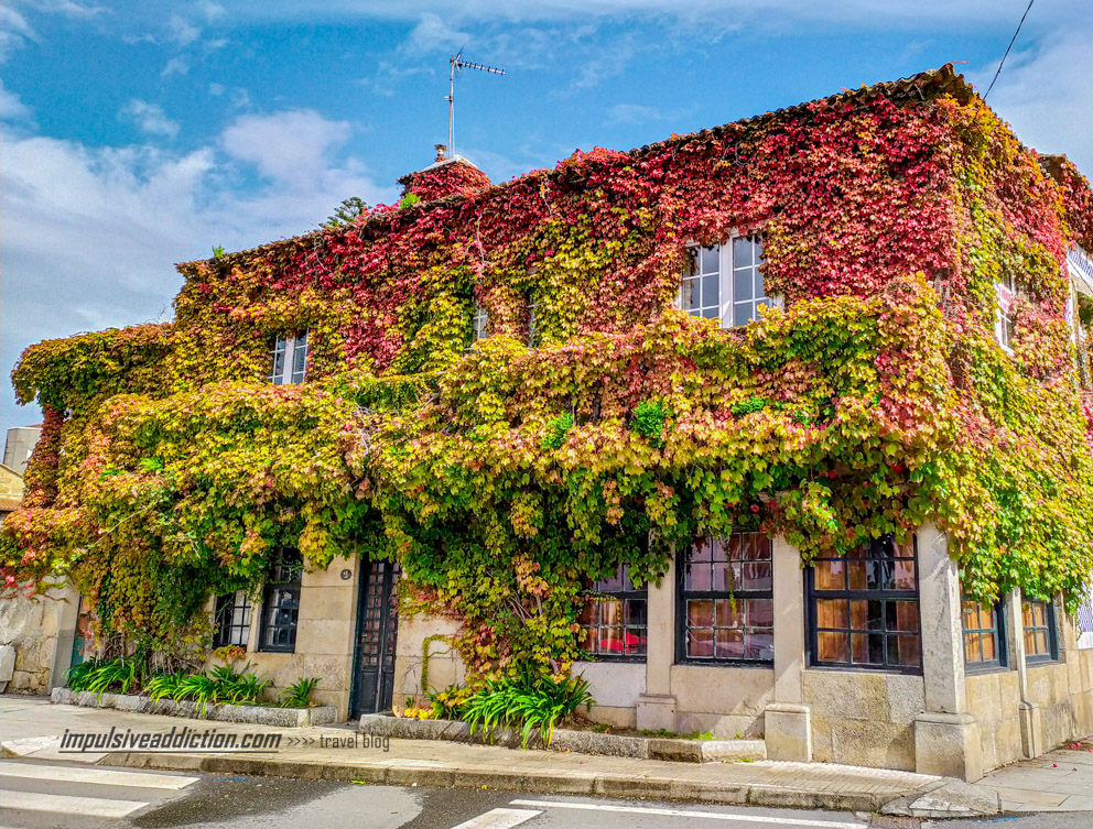 Casa Florida em Cambados