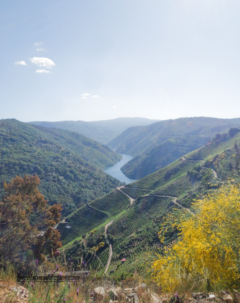 Ribeira Sacra | Desfiladeiros do Sil