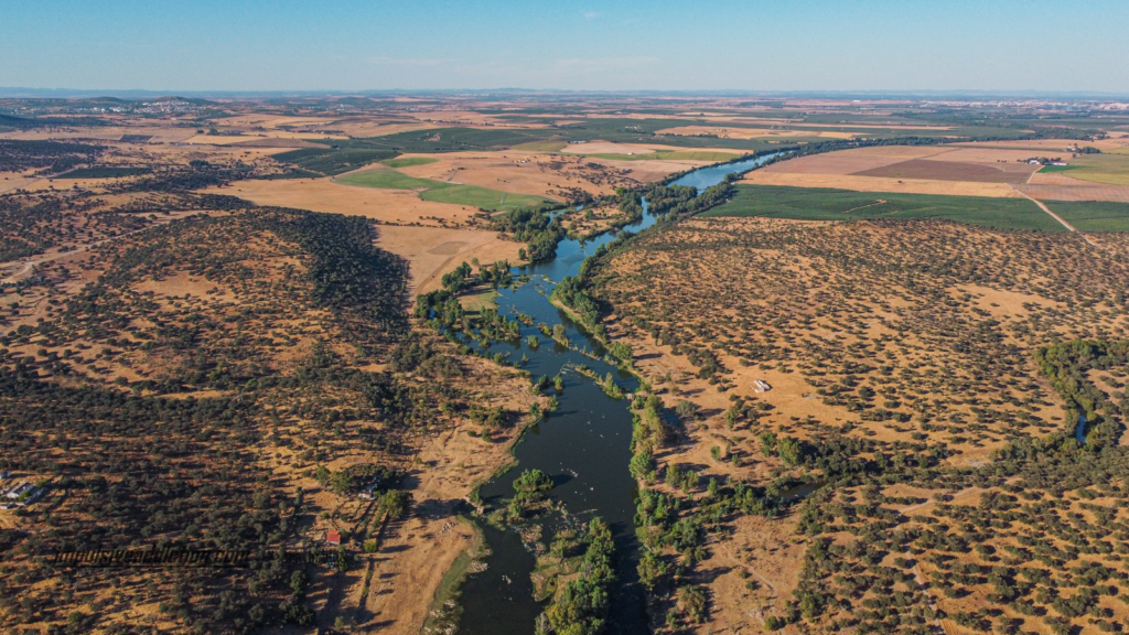 Guadiana River, near the Ajuda Bridge