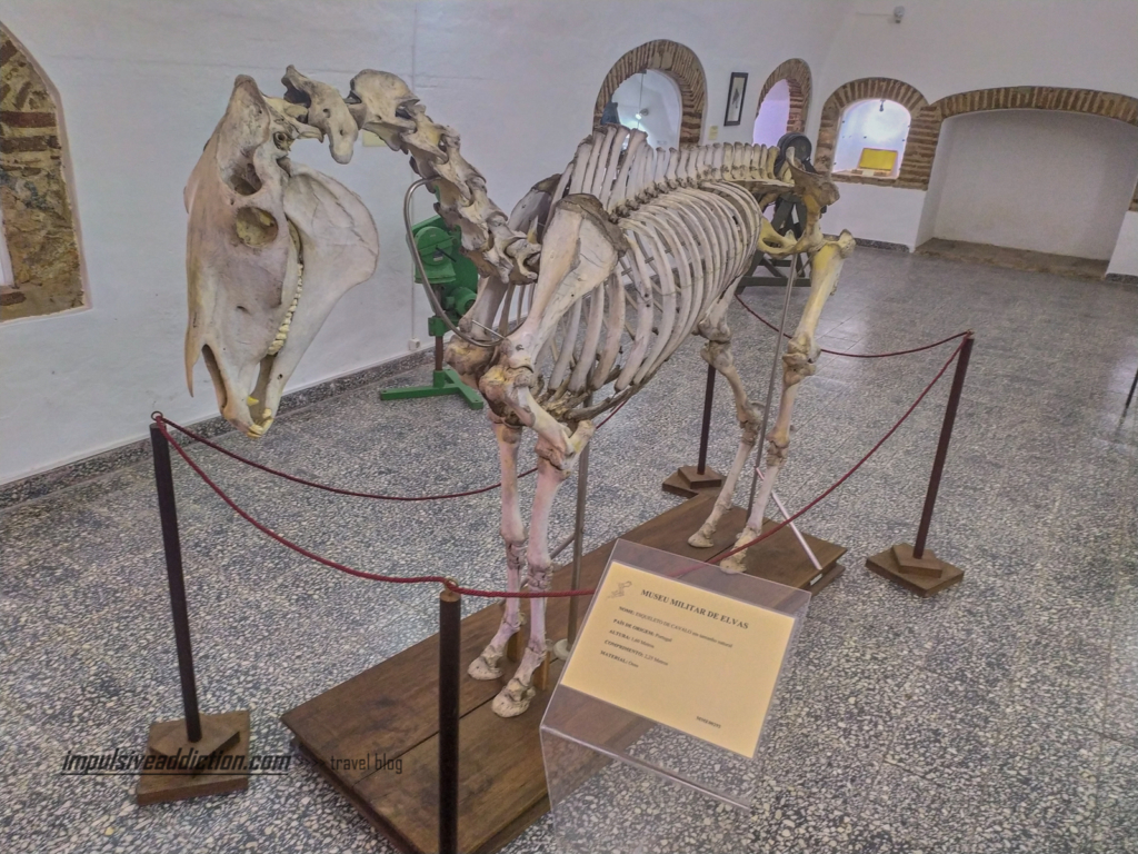 Military Museum to visit in Elvas