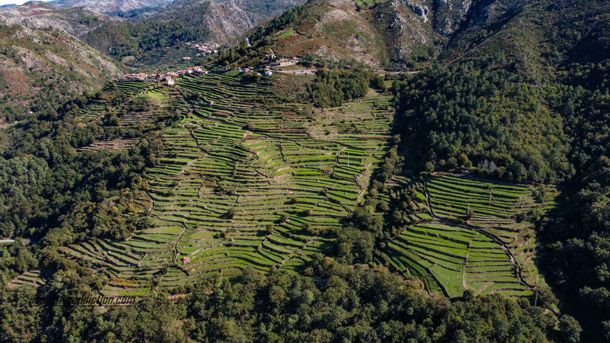 Landscape of Sistelo Terraces