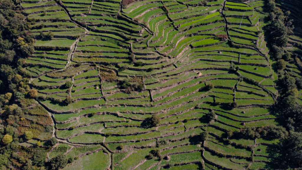 Imagem aérea dos socalcos junto da aldeia do Sistelo