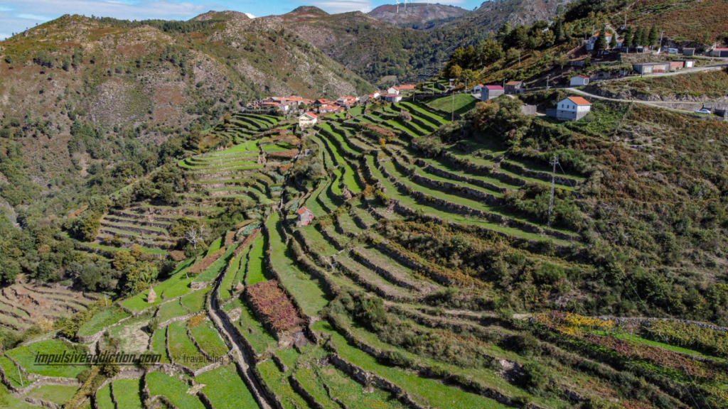 Sistelo agricultural terraces