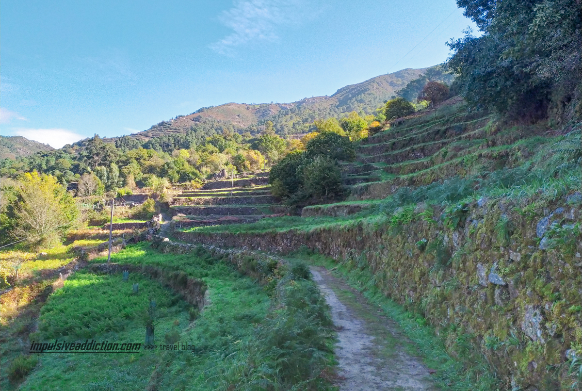 A caminhar por entre os Socalcos do Sistelo