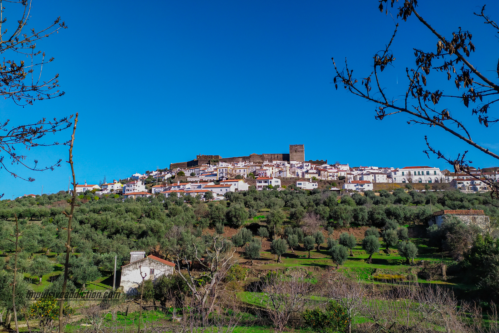 Visitar castelo de vide