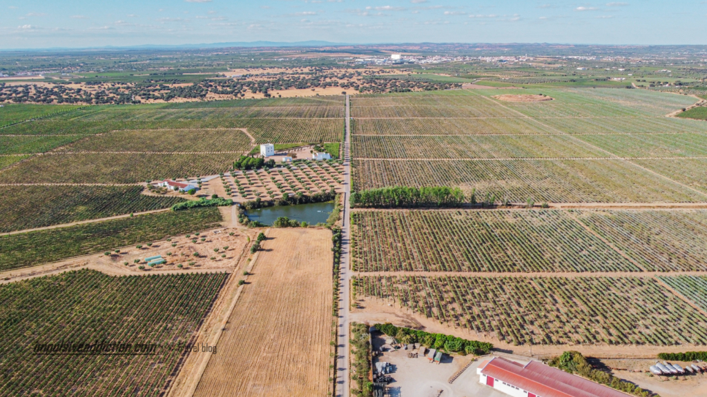 Herdade do Esporão ao visitar Reguengos de Monsaraz
