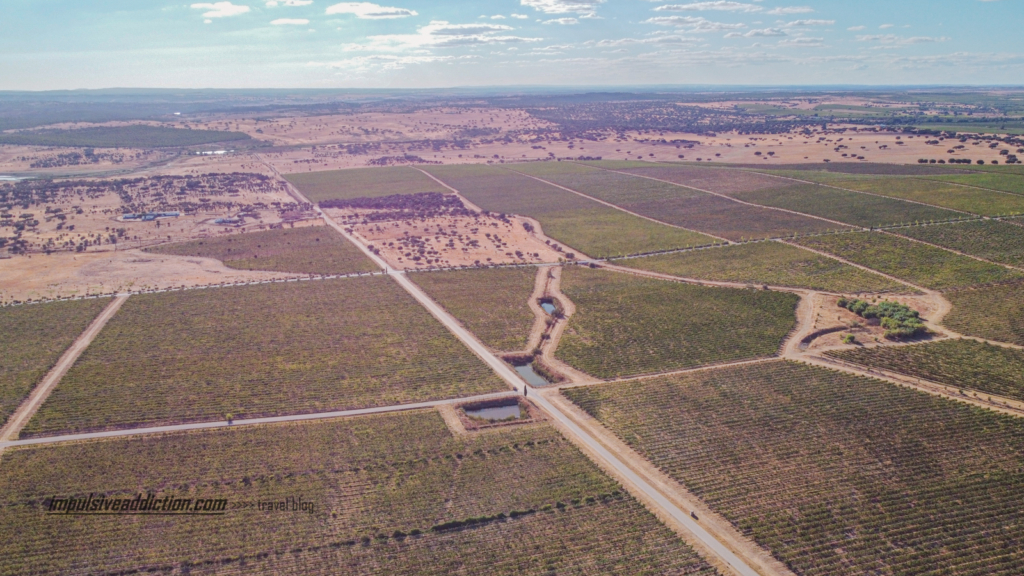 Herdade do Esporão ao visitar Reguengos de Monsaraz