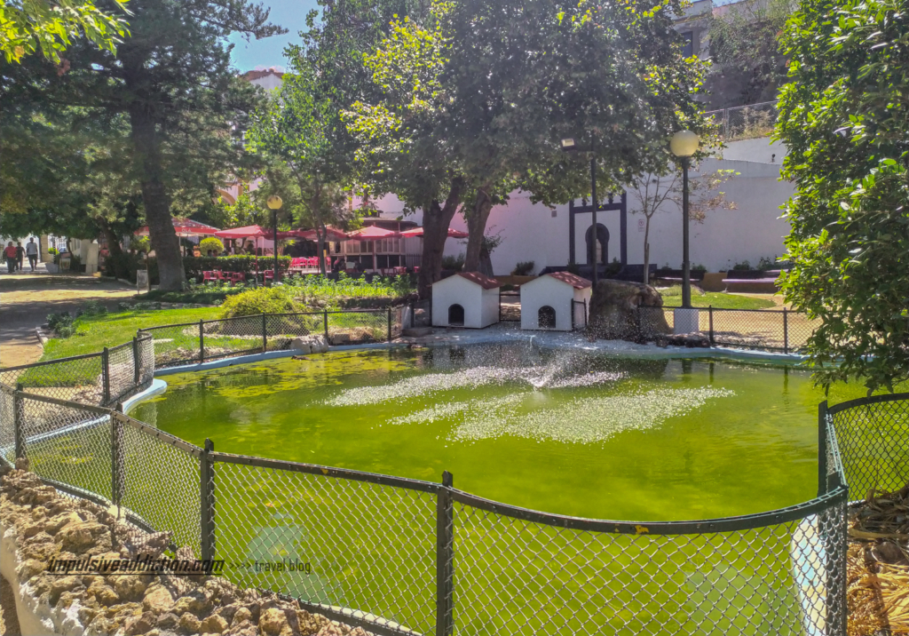 Lago do Jardim Doutor Santiago