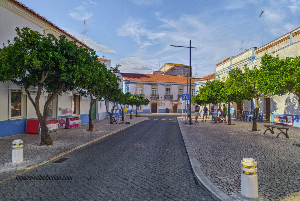 Rua repleta de Laranjeiras ao visitar Borba