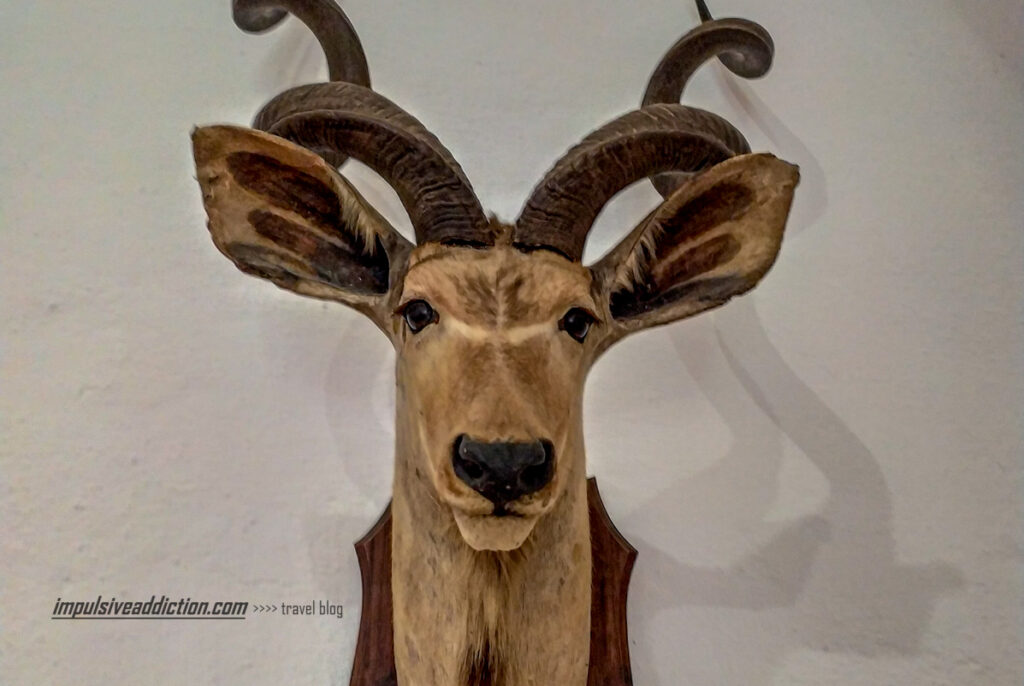 Exposições do Museu da Caça do Castelo de Vila Viçosa