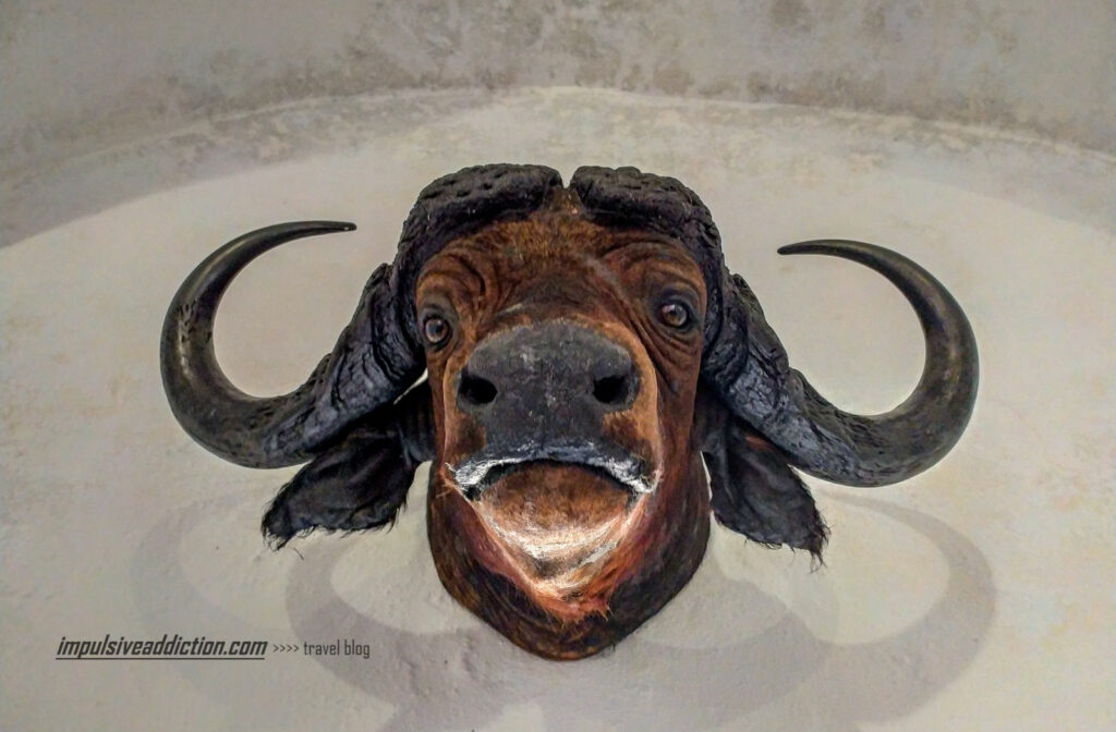 Exposições do Museu da Caça do Castelo de Vila Viçosa
