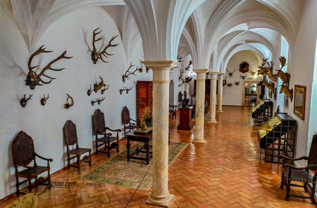 Exposições do Museu da Caça do Castelo de Vila Viçosa