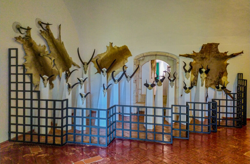 Exposições do Museu da Caça do Castelo de Vila Viçosa