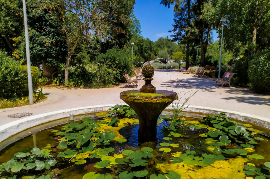Jardim Municipal Camacho Pimenta