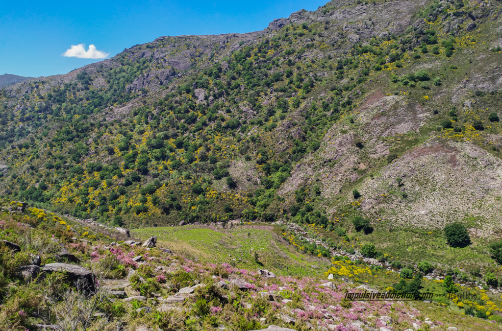 Paisagem até Ribeiro de Baixo