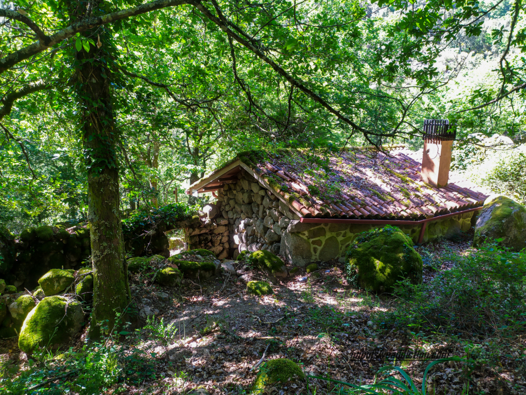 Casa no bosque