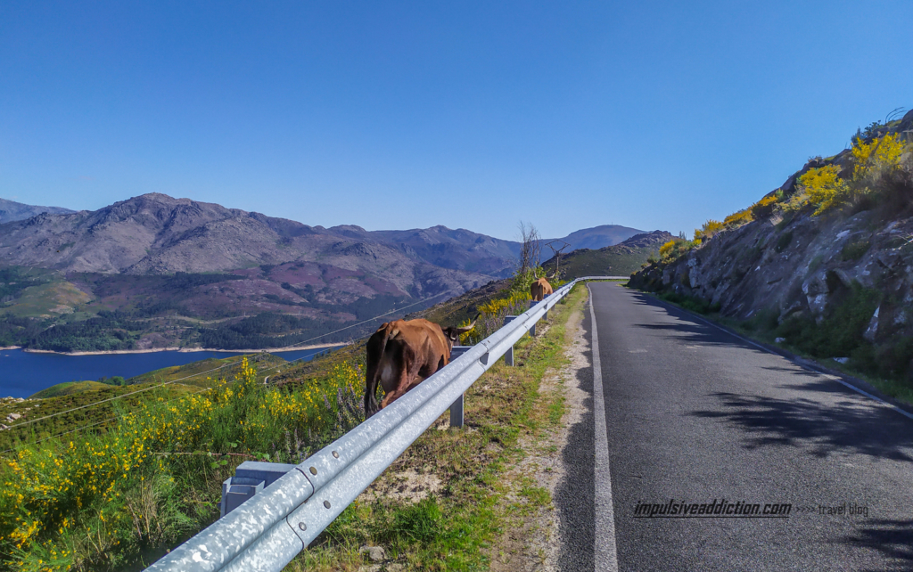 Estrada a percorrer no acesso ao trilho