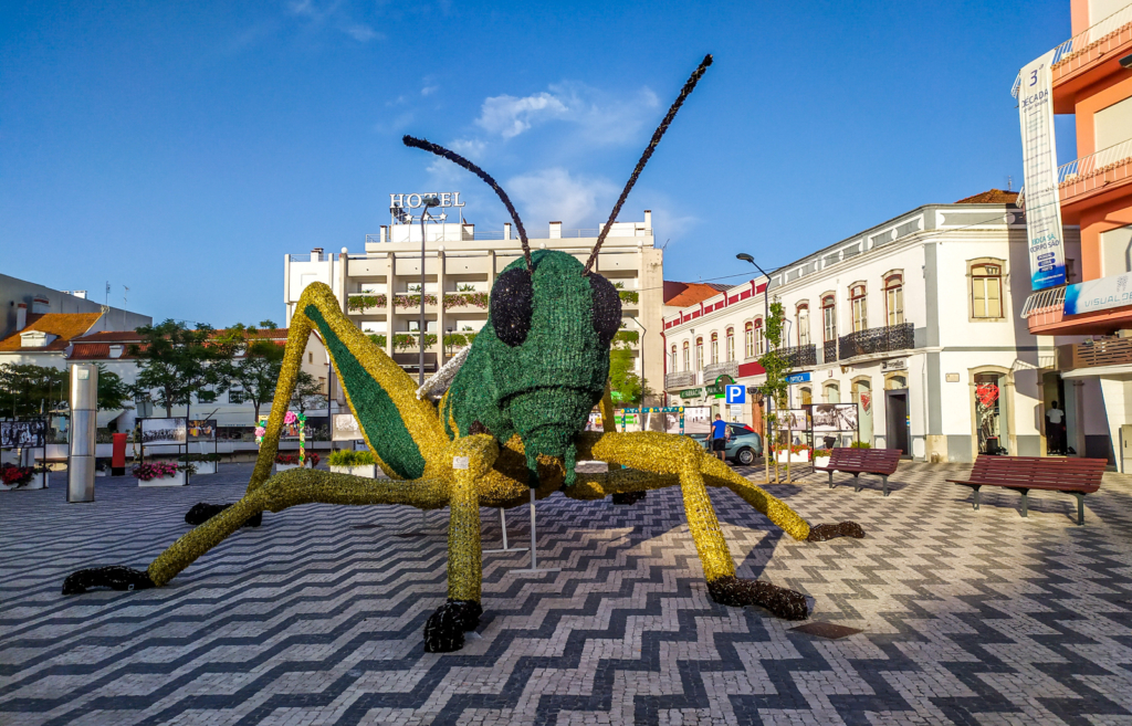 Gafanhoto no Largo do Cardal