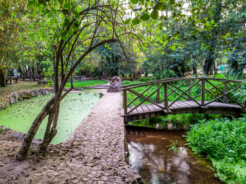 Detalhe do Parque da Fonte da Pedra, no Louriçal