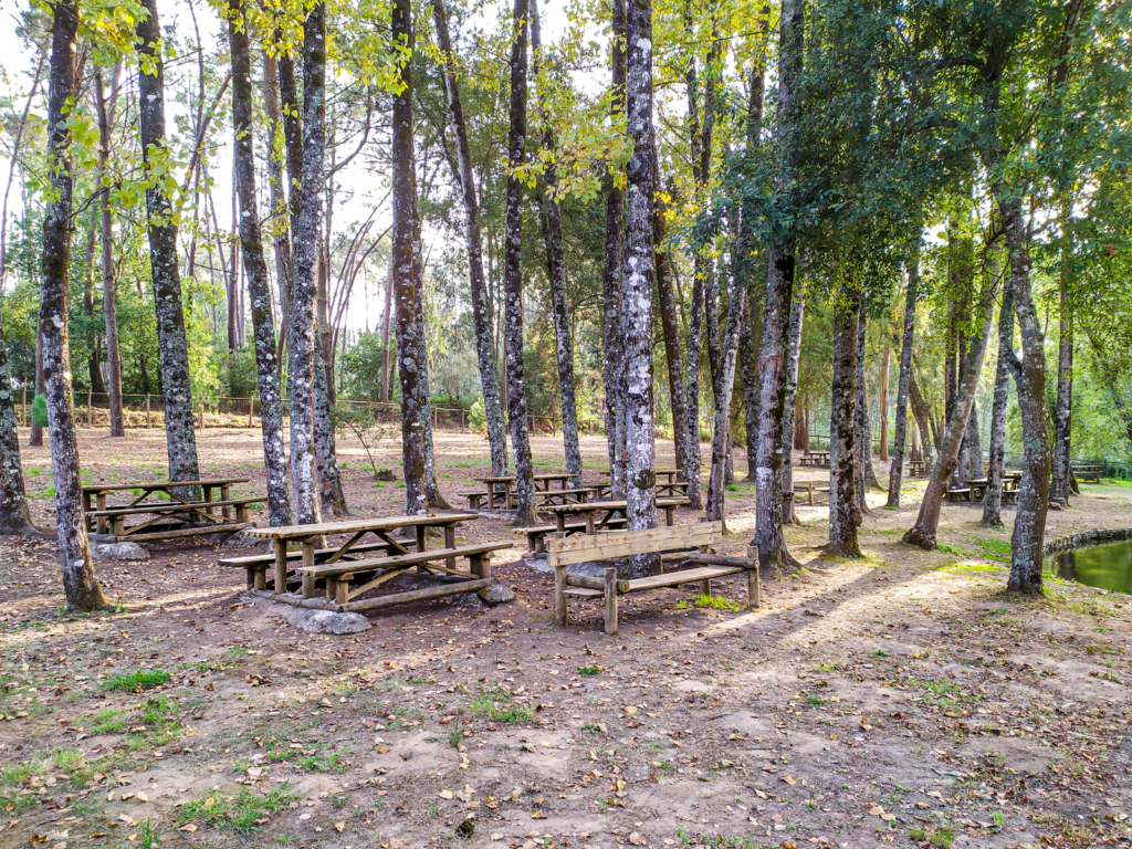 Parque de Merendas da Ilha