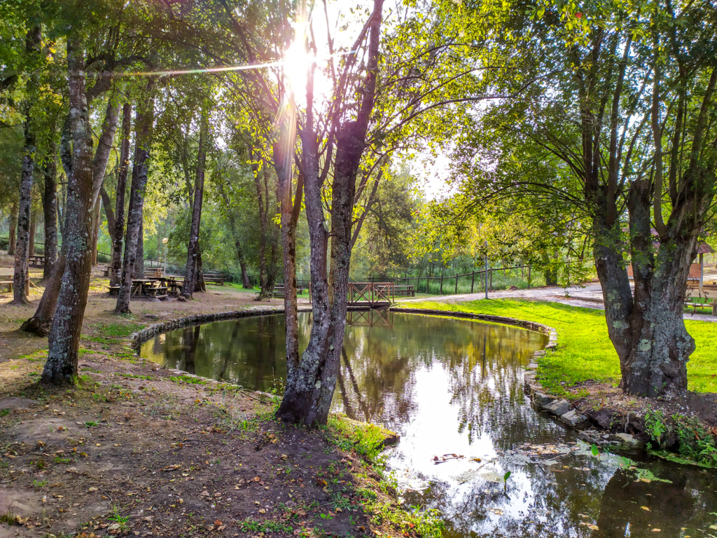 Parque de Merendas da Ilha