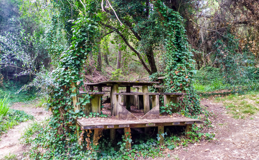 Detalhes do Parque de Merendas do Pisão