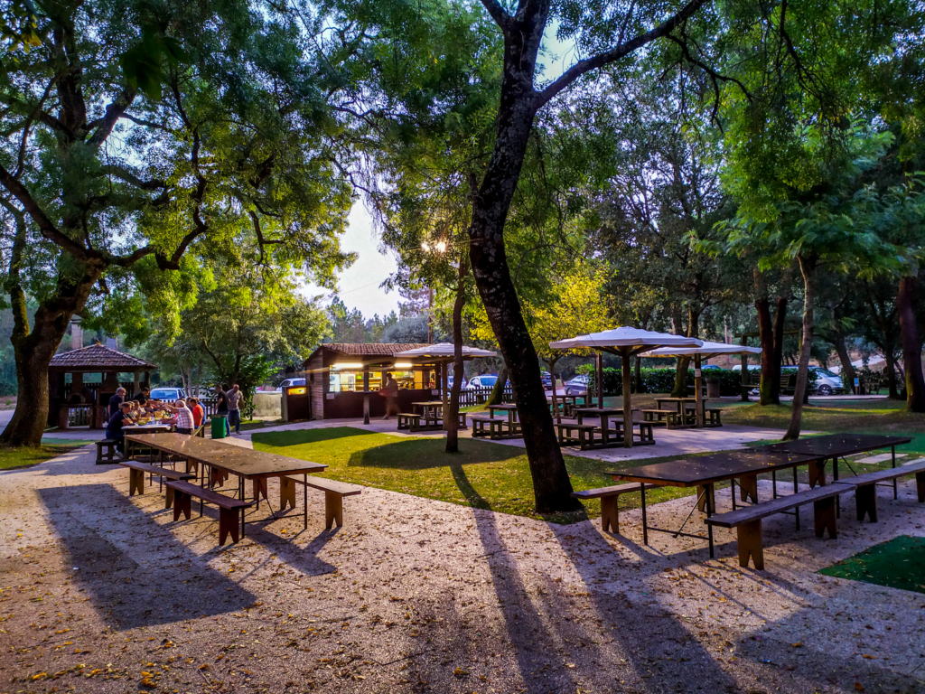 Troncão Parque junto das Meirinhas