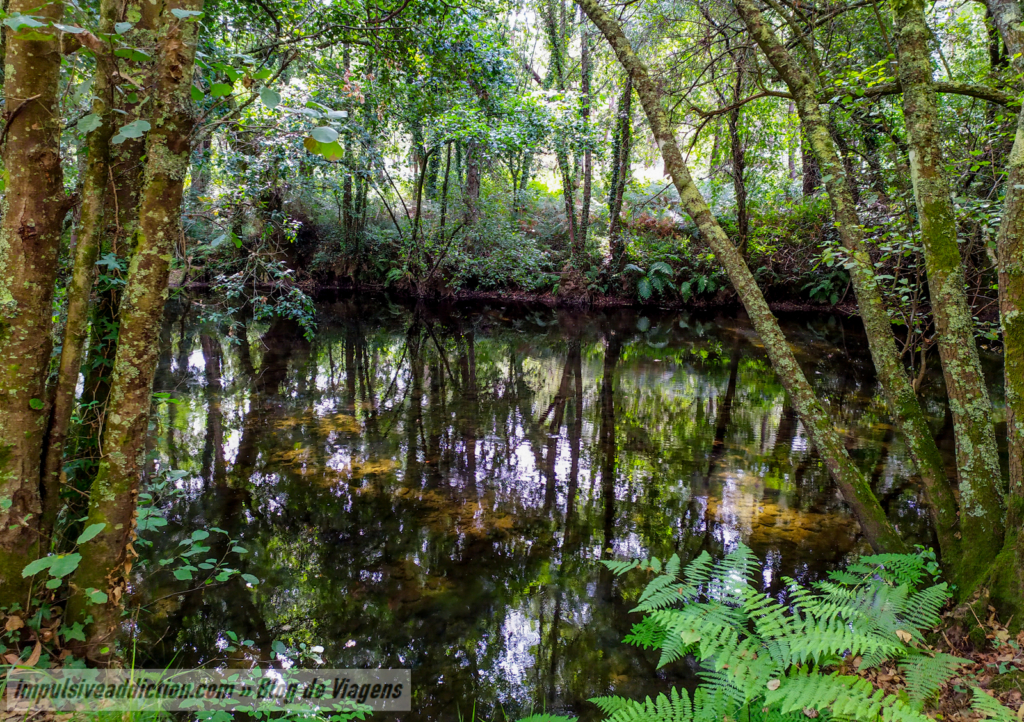 Wild River Neiva close to Almerinda Watermill
