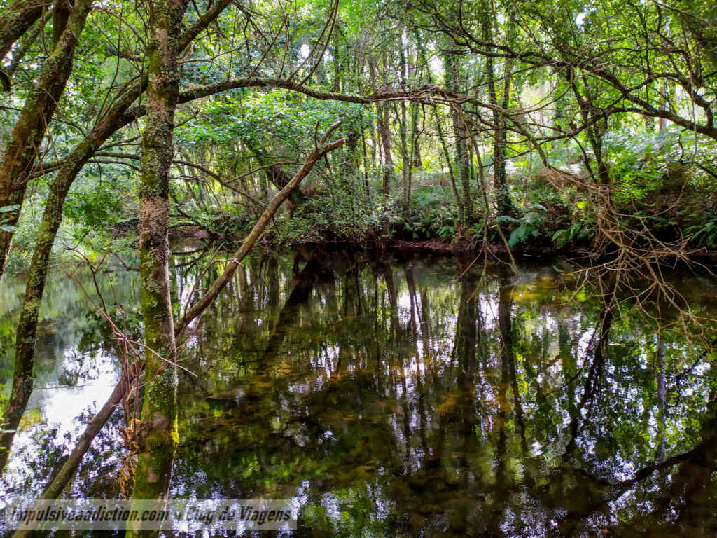 Wild River Neiva close to Almerinda Watermill
