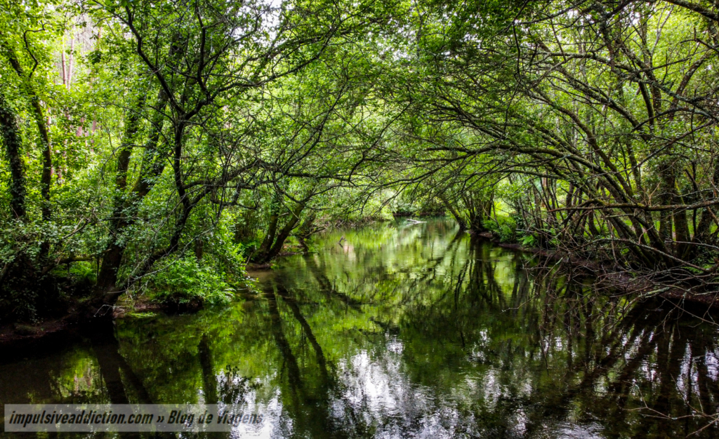 Wild Neiva River, near Azenha da Almerinda